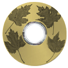 Sample LightScribe Disc 